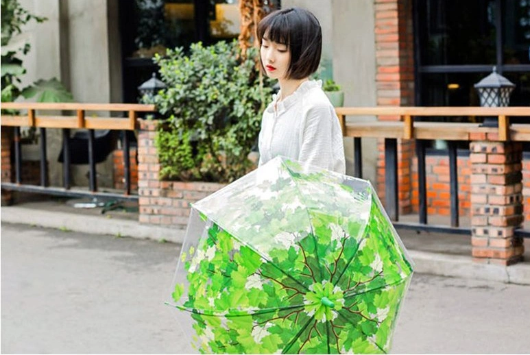 Fancy Eye-Catching Stylish Clear Vibrant Tone-to-Tone Printed Dome-Shaped Transparent PVC Umbrella