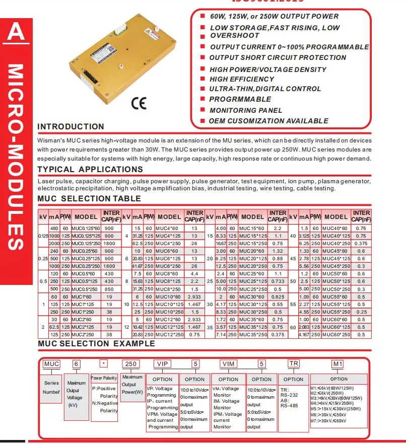 Light Weight Mico-modules High Voltage Power Supply  (125V-60kV,60W-250W)