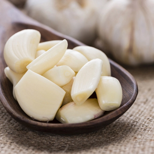 Wholesale/Supplier Fresh Garlic White Garlic with Per Ton Price