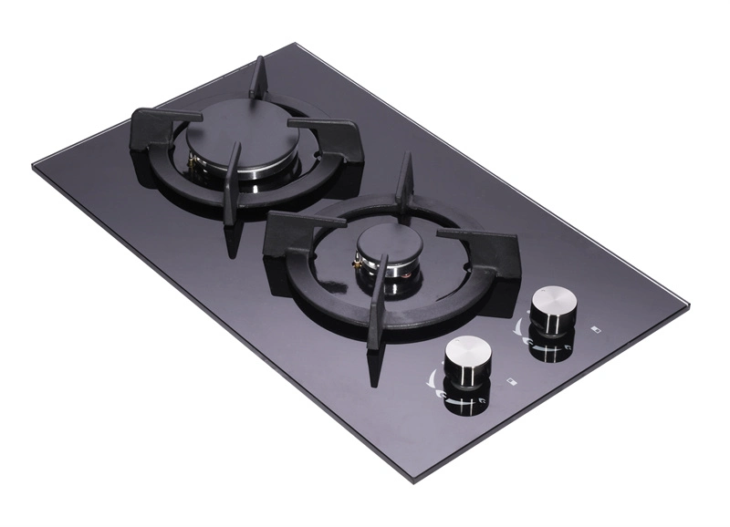 201 Level Stainless Steel Panel Two Burner Gas Stove Home Appliance (JZS32003C1)