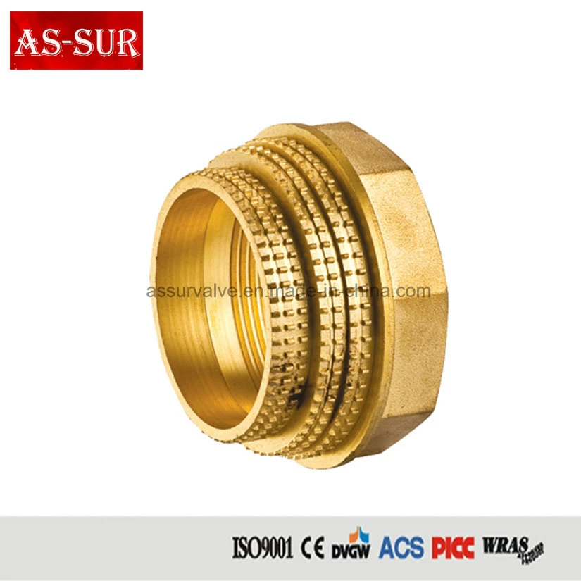 Brass Insert PPR Pipe Fittings Socket