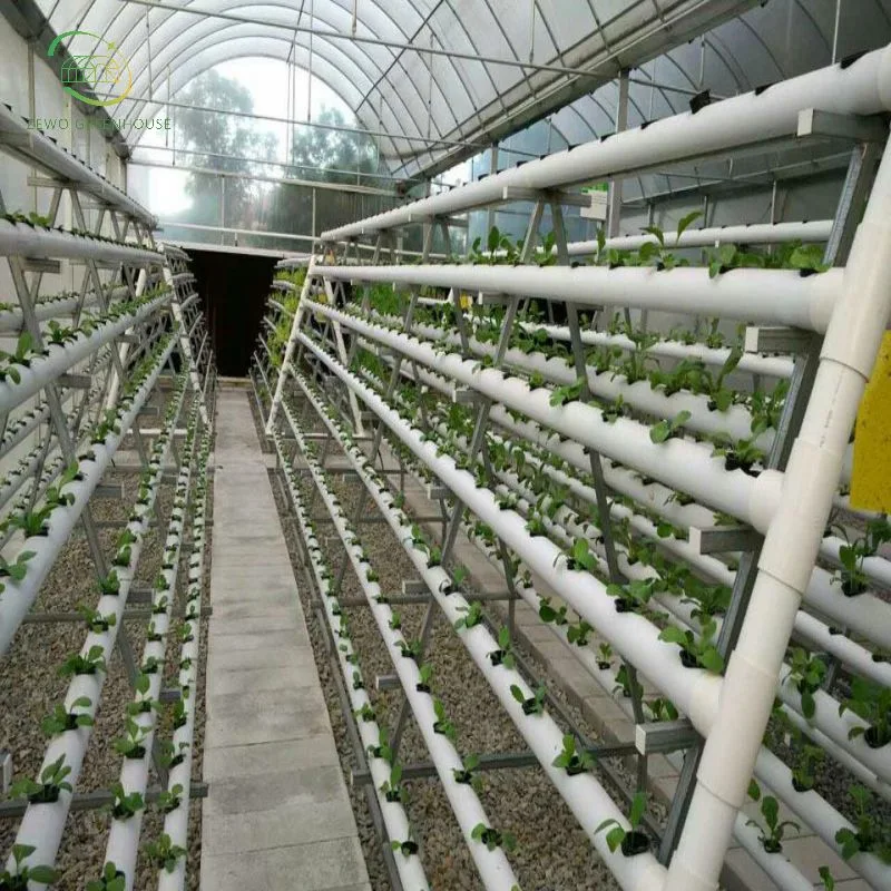 Sistema de Cultivo Hidropônico Completo de Tipo Vertical para Agricultura sem Solo de Vegetais/Frutas.