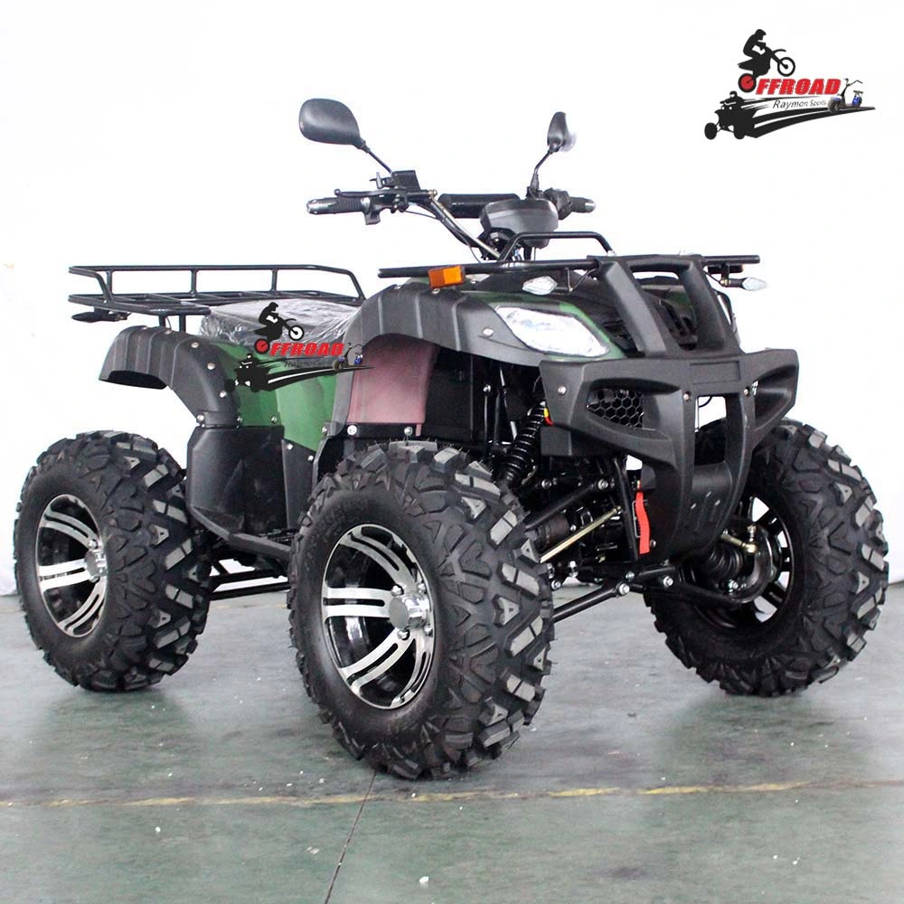 Commerce de gros 2020 Plage électrique Landau fabricant ATV ATV électrique adultes