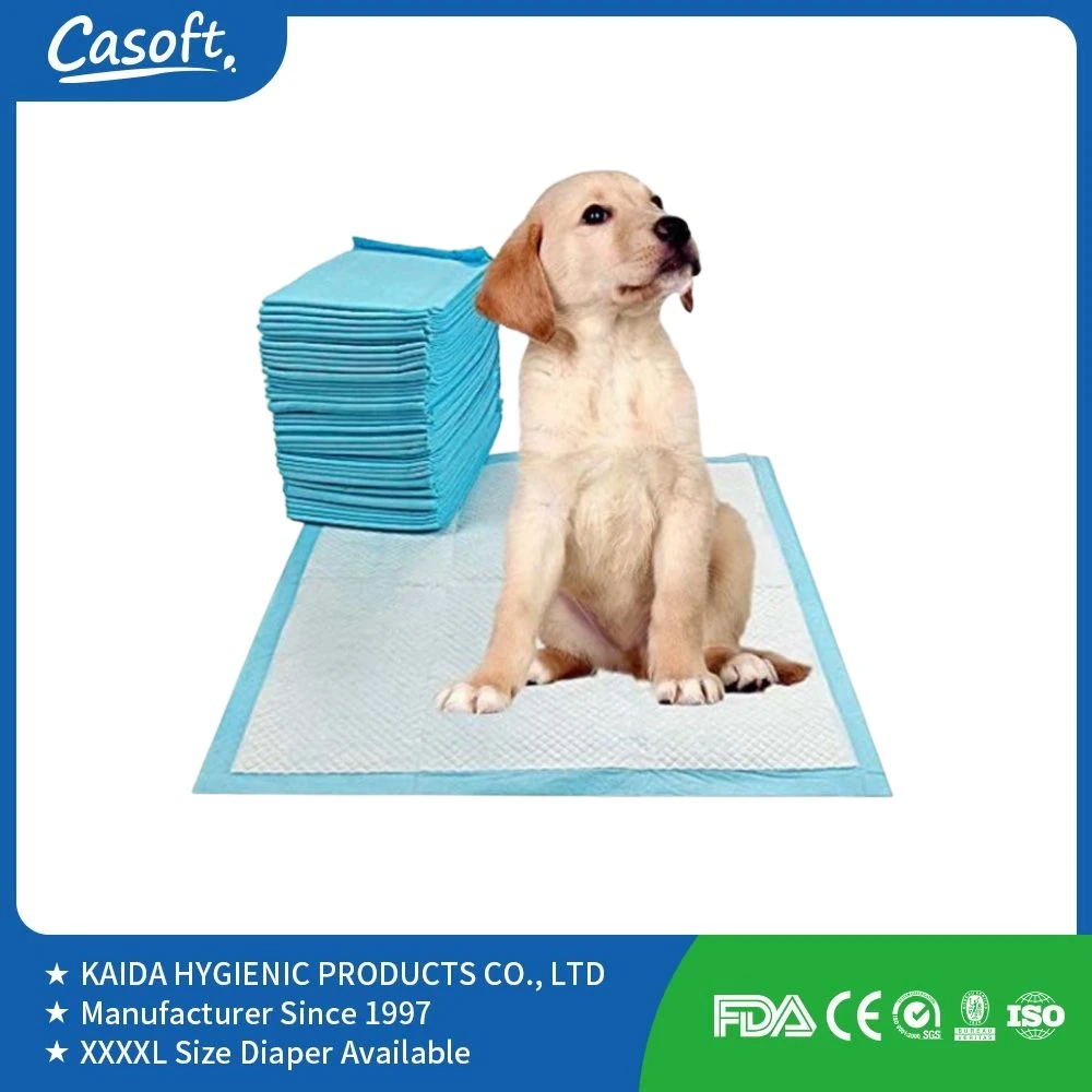 Bequemes Einweg-Trainingspad für Pet PISSE saugfähige Magic Mats Kein Geruch Große Absorption Kann Kundenspezifisch Pet Peed Pad