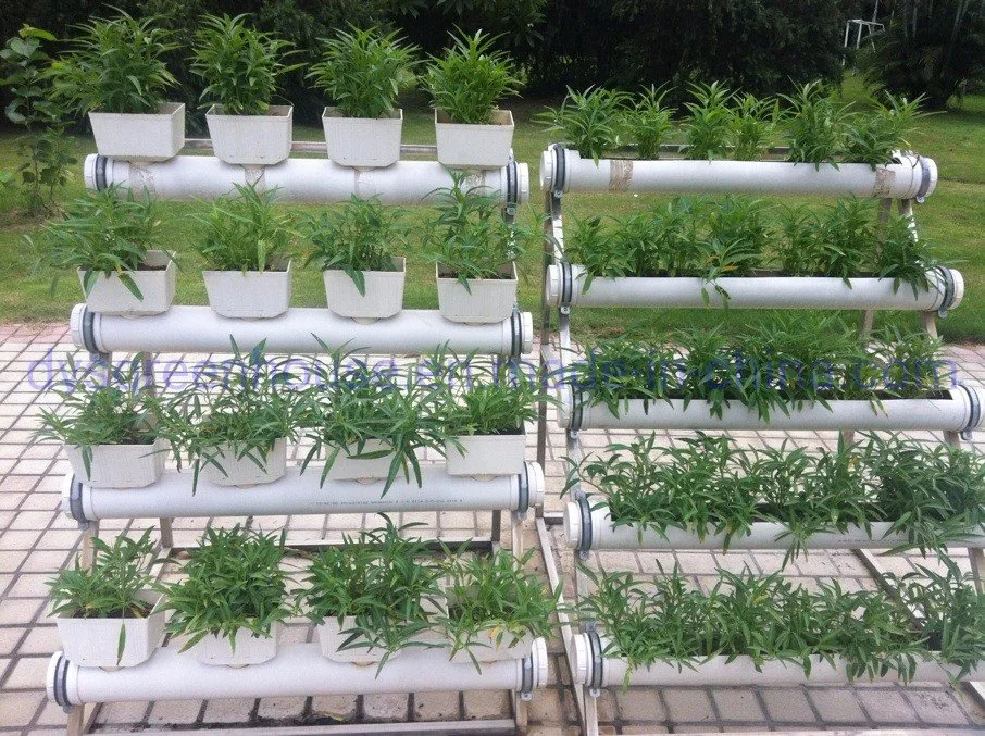 Pequena Casa luz crescente hidroponia vertical no interior dos sistemas de produção vegetal para venda