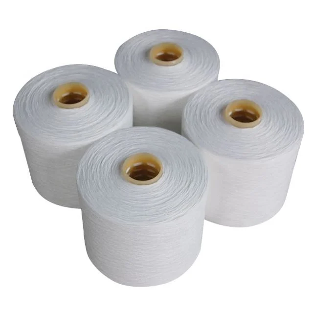 Wholesale/Supplier Factory Price 100% Polyester Ring Spun 1/30 Raw White