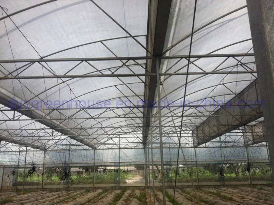 Bigger Size Hydroponics Nft Growing Systems for Greenhouse