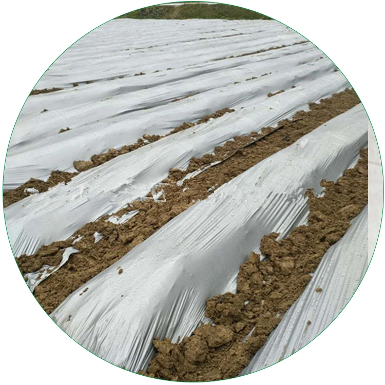 100% Neue PE Kunststoff Mulch Film / Mulch Mulch Kunststoff Folie für Landwirtschaft