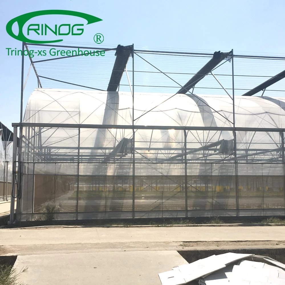 Agricultural Greenhouse lettuce NFT hydroponic growing system for sale