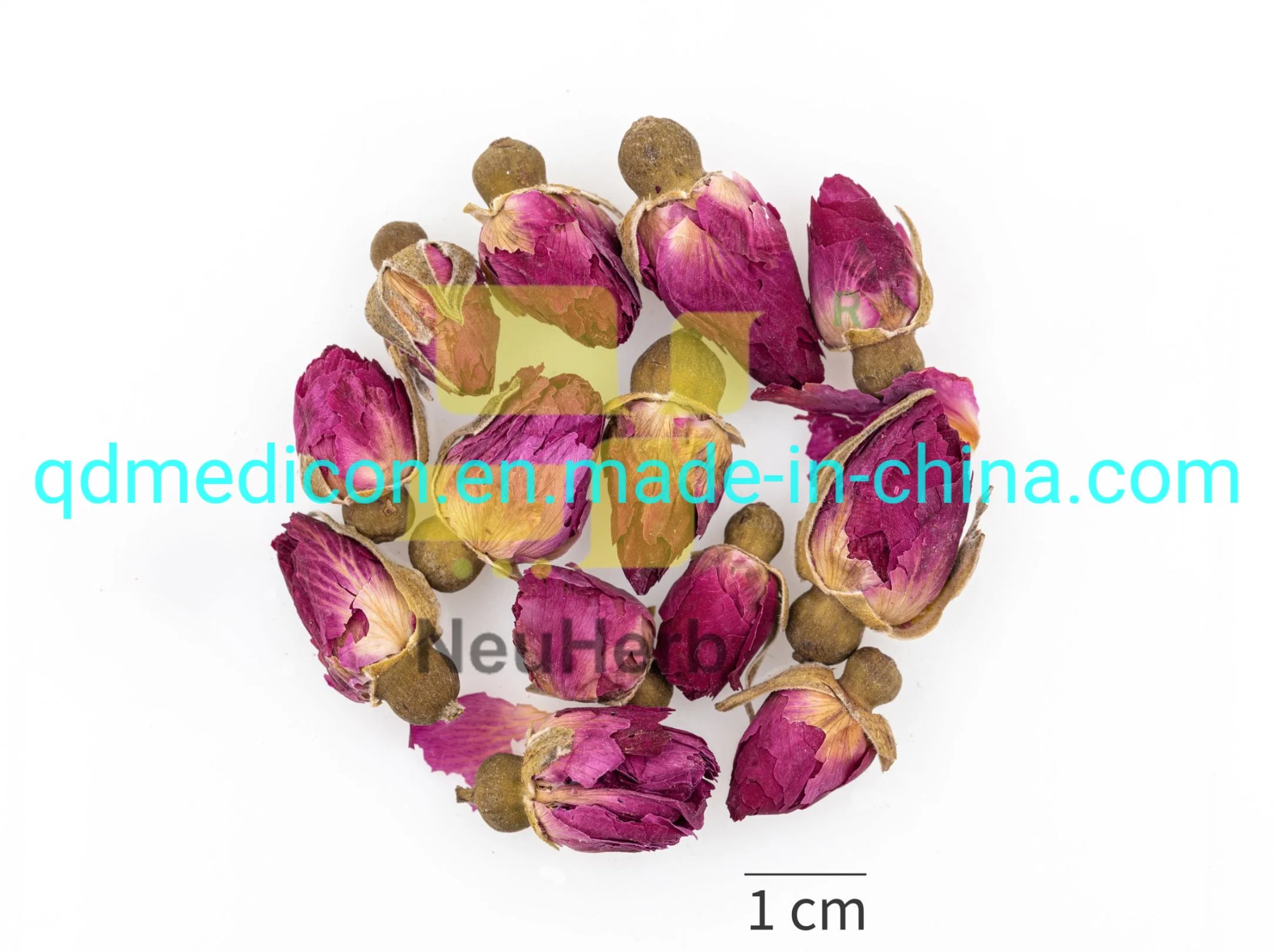 Bud de la flor de rosa Herb natural preparado Medicina tradicional de las hierbas chinas Regular Qi
