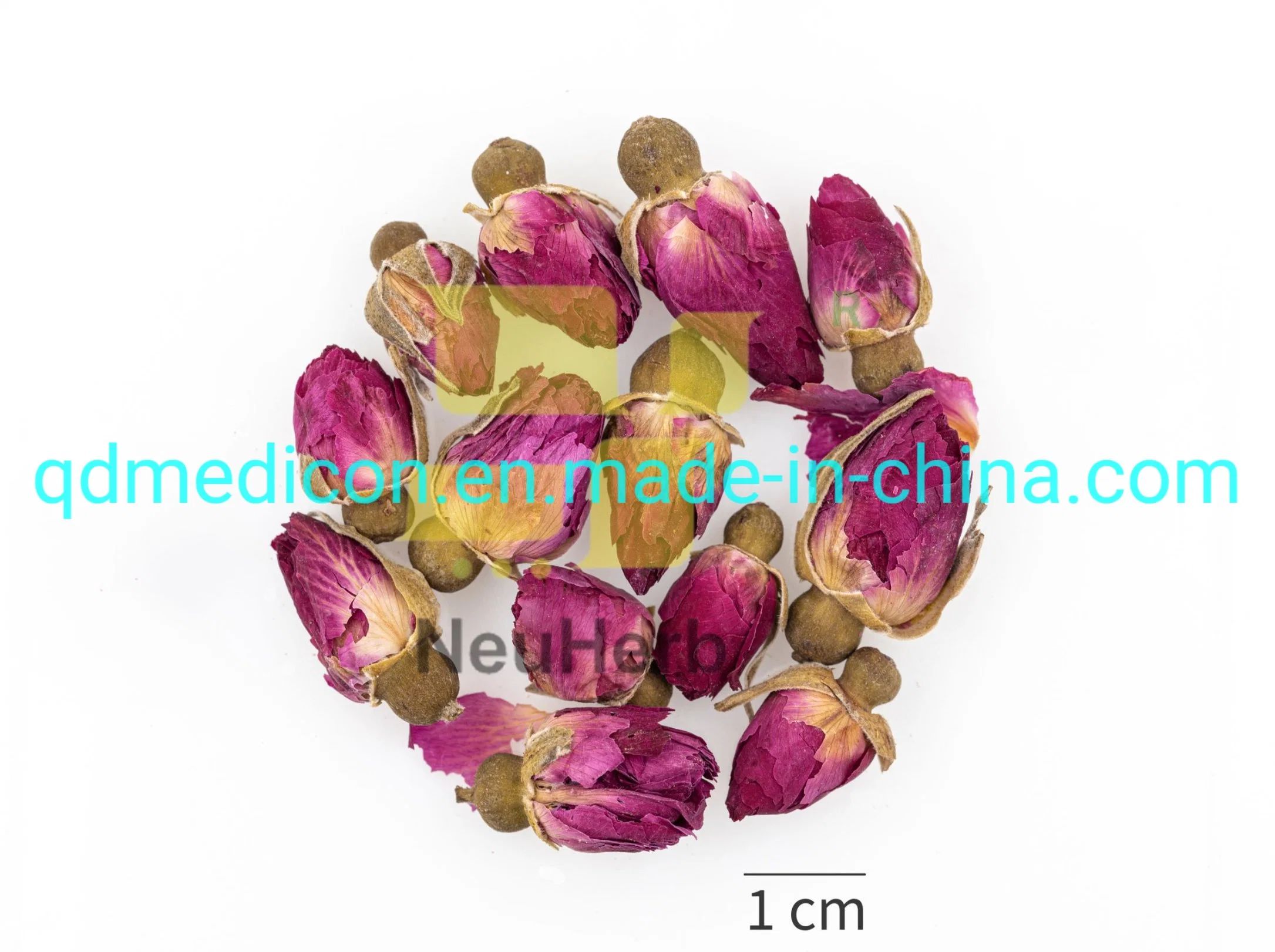 Rose Flower Bud Natural Herb Prepared Traditional Chinese Herbal Medicine Regulate Qi