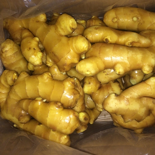 2023 Air Dried Ginger High Quality Chinese Ginger in Carton