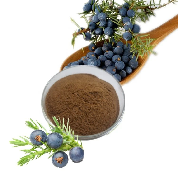 Top Quality Pure 10: 1 Juniperus Communis Extract/Juniper Berries Extract for UTI