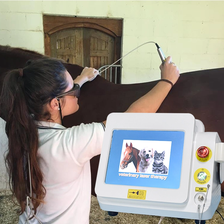 Discount Class IV Laser 980nm Laser Physiotherapy Device Price Machine Higt Intensity Veterinary Laser Therapy Vet Laser for Horse