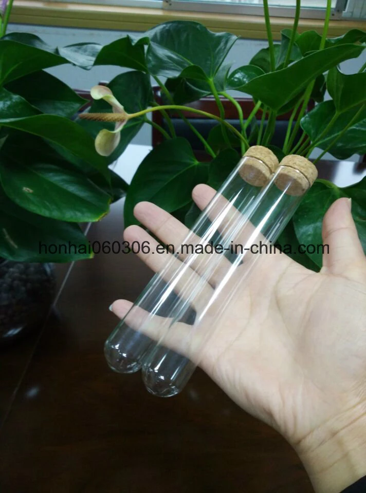 Clear Glass Cigar Tube with Cork Lid