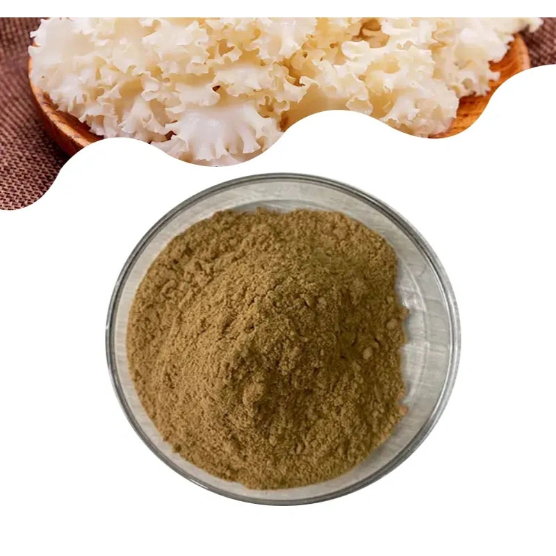 Wholesale/Supplier Factory Price Sparassis Crispa Extract Pure Sparassis Crispa Extract Powder