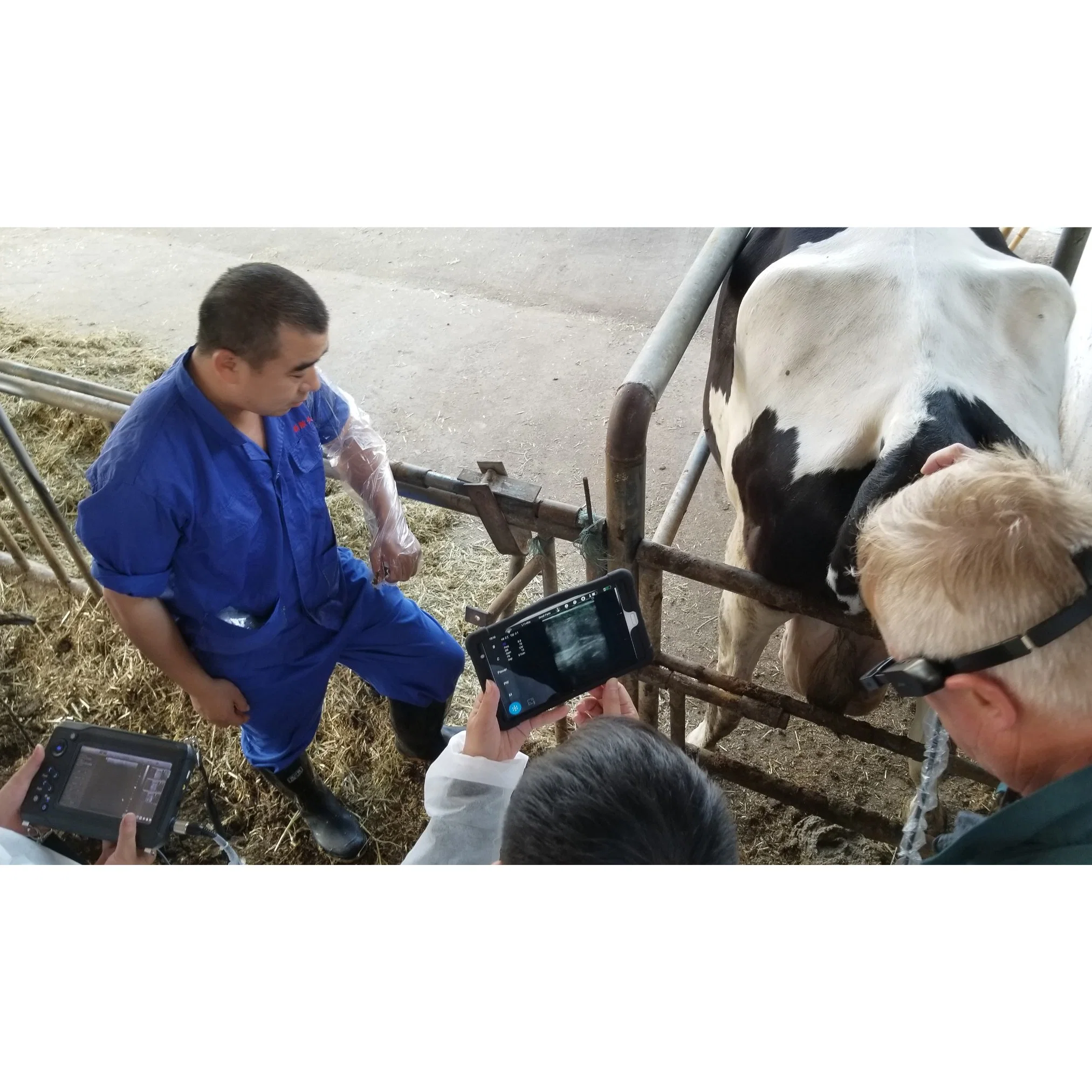 En el S9 China máquina computadora de mano portátil veterinarios VET Ultrasound Scanner para Pet Embarazo