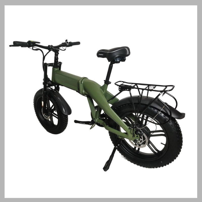 ODM High Power Retro Electric Bicycle/Fat Tire E Bike Whit LED Display