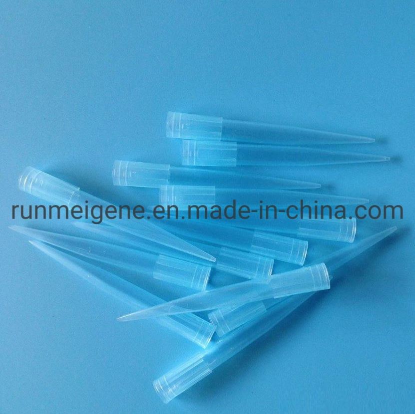 Hot Sale 10UL 20UL 100UL 200UL 1000UL Filter Pipette Tips for Nucleic Acid Testing, Conductive Disposable Pipette Tips Manufacturer