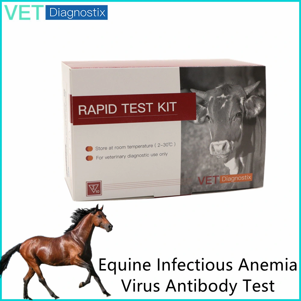 Equine Infectious Anemia Test Eiav Rapid Diagnostic Test