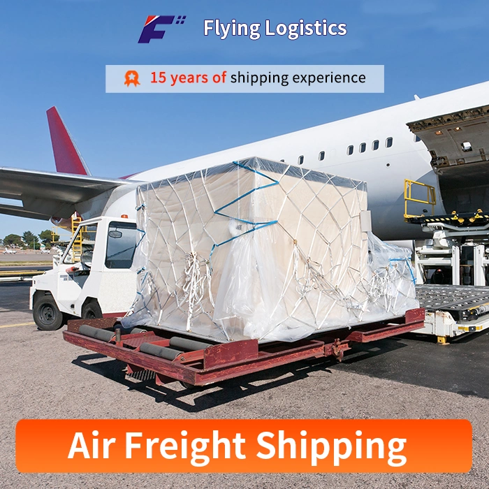 From China Sea Freight Forwarder to Yemen Shipping Agent Logistics Forwarder Service