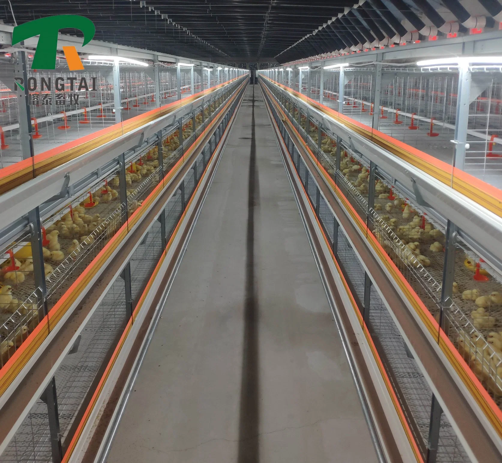 Automatic Hot-Galvanized Multi-Tier H Frame Battery Poultry Farm/Farming Equipment for Chicken Layer Hen Cage