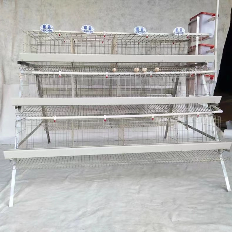 Efficient Poultry Farming Feeding Equipment Battery Cage System for Layer Chicken