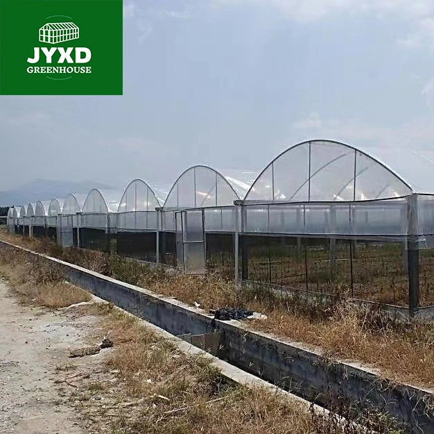 Plastic Film Multi-Span Greenhouse with Hydroponics System for Vegetables/Fruits/Flowers/Tomato/Cucumber