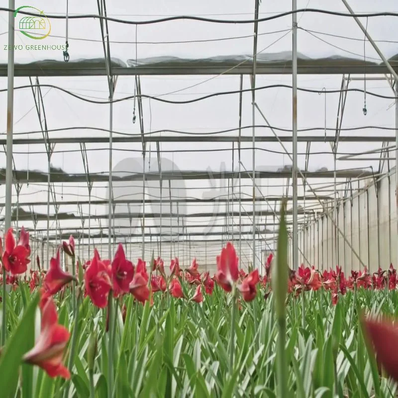 Portable Flower Green House Jardín Greenhouses exterior a prueba de fuego y agua Tela de PVC Flor portátil Green House con sistema de control de temperatura