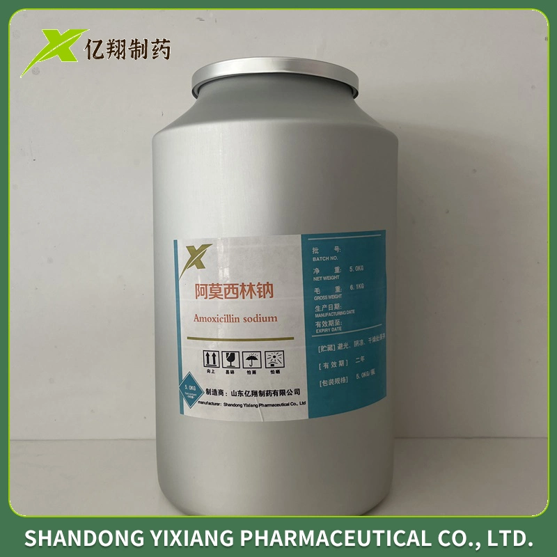 Durg Supplier of China GMP Amoxicillin Sodium Antibiotic Amoxicillin Sodium Veterinary Medicine for Injection 0.25g 0.5g 1.0g