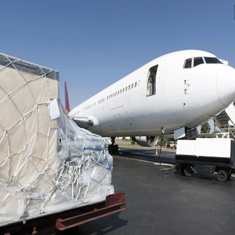 Professional Sensitive Cargo Air Freight  Air Cargo to The U. S. Special Line