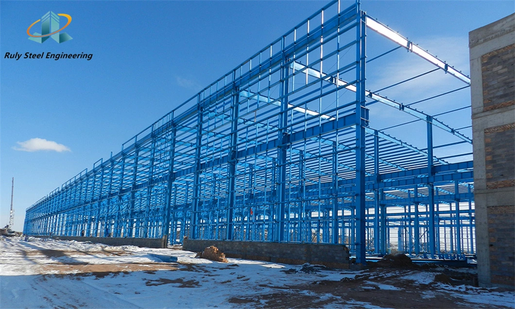 Steel Structure Factory Galvanized Prefabricated Structural Steel Buildings for Food Processing Plant