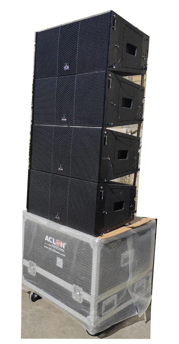 Aclon Dual 10inch Neodynium Contrachapado altavoz DSP Active Line Array (LAM210A)