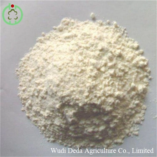 Protein Powder Rice Protein Meal Animal Feed Additive