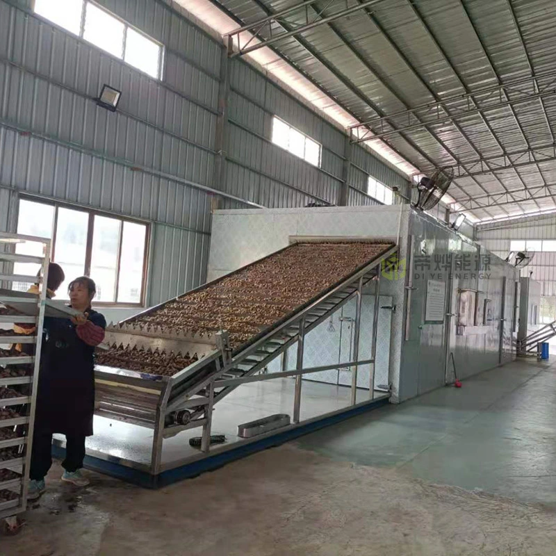 ODM/OEM Avocado Heat Pump Hot Air Mesh Belt Drying Machine