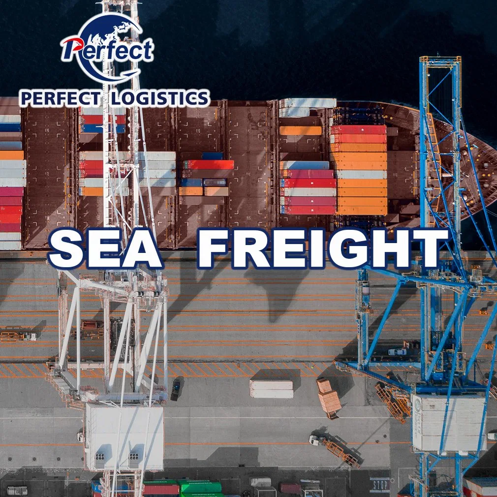 International Sea Freight Shipping Company mit Spediteur