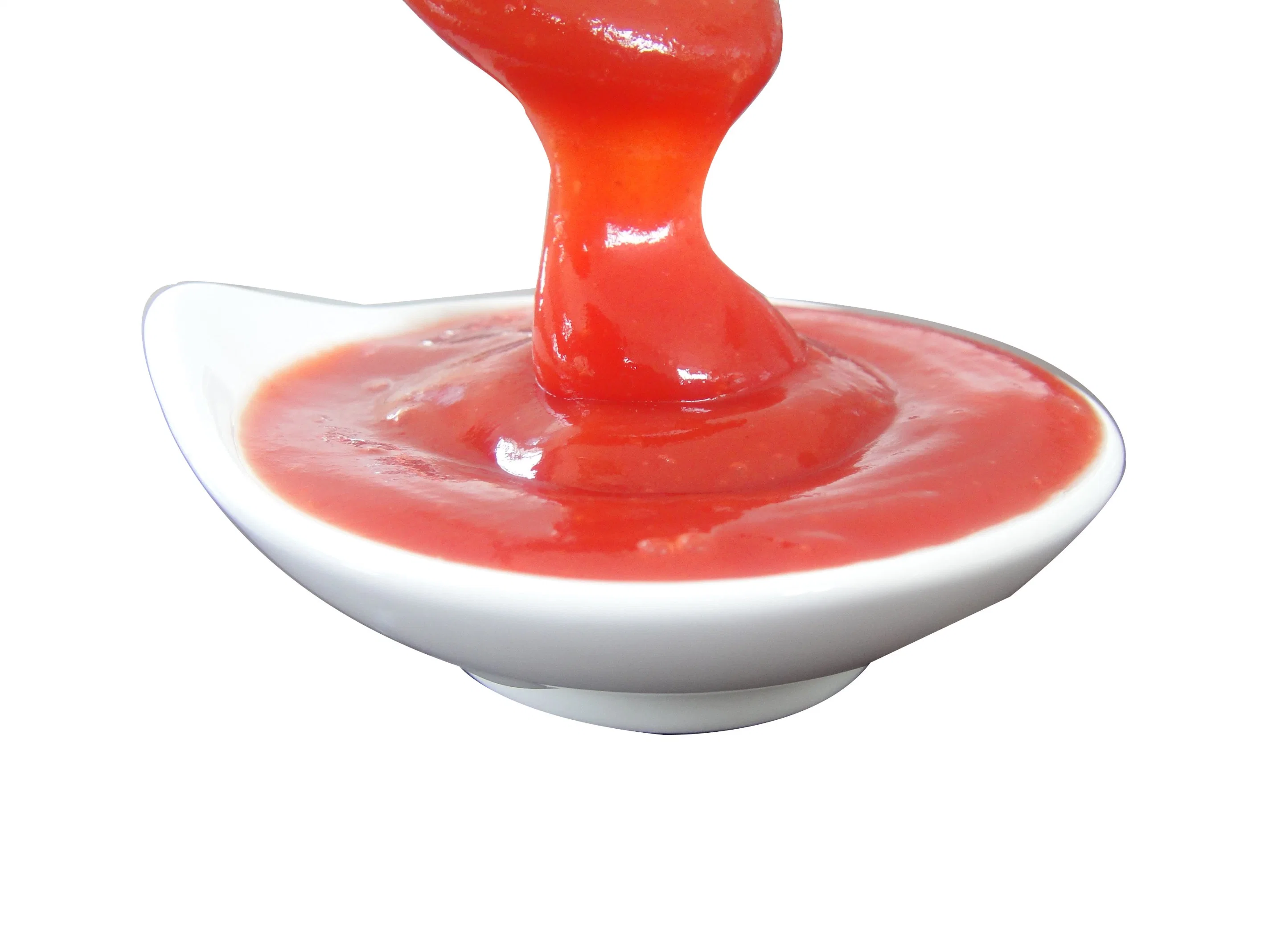 La Chine Tomato Ketchup avec bon goût