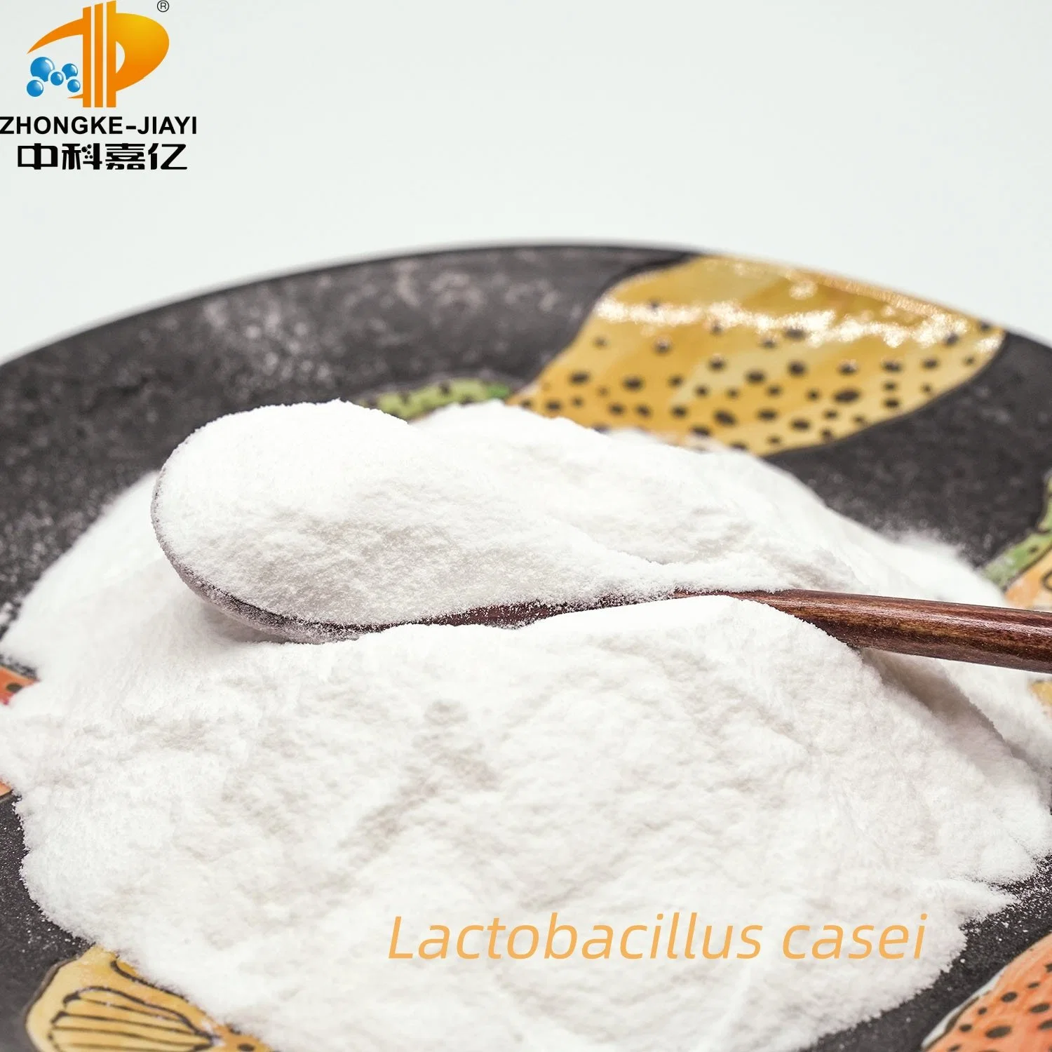 Lactobacillus Probiotic Freeze-Dried Powder Mit Hoher Aktivität