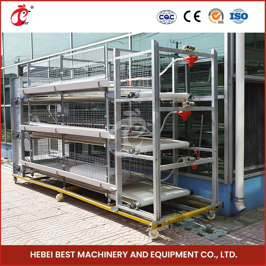 Bestchickencage H Frame Broiler Cages China Hot Sale Chicken Cages Factory Intelligent Features Broiler Growing Cages