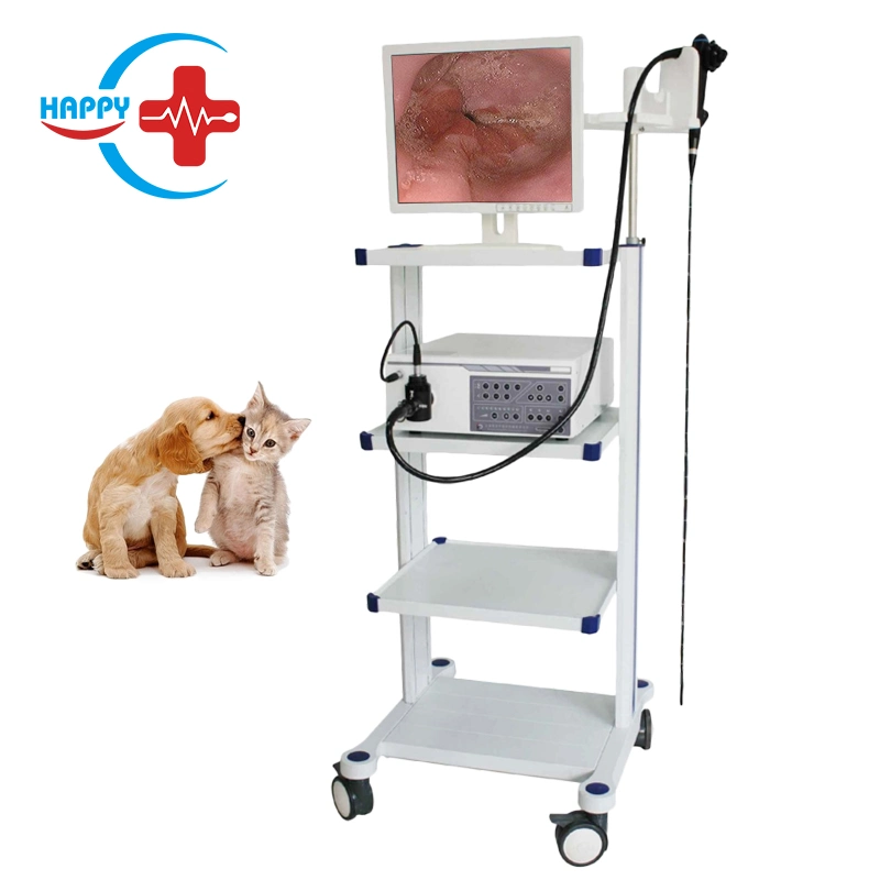 HC-R066 Veterinary Fleciblel Endoscope System for Samall Animals with 15 Inch LCD Monitor