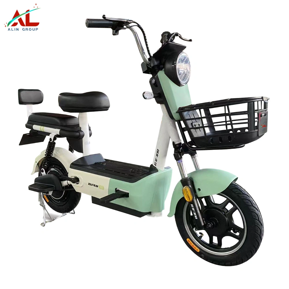 Aluminum 48V 500W with Front Light Electric Fat Tire Dirt Bike