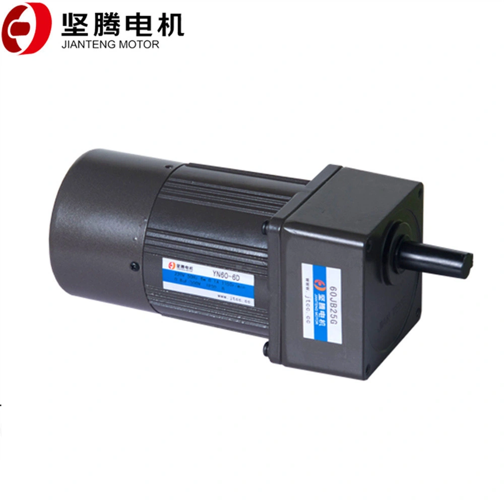 Vertical Magnetic Brake Motor Small Eliectric AC Motor