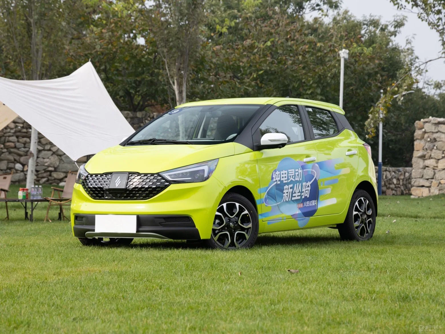 Voiture électrique moins chère