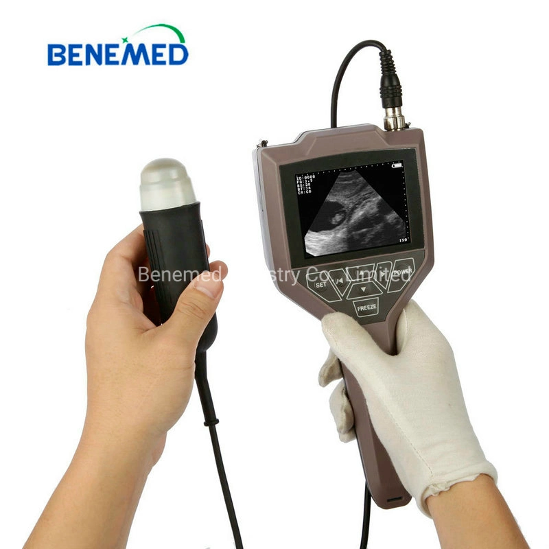 V-3 Full Digital Veterinary Ultrasound Scanners for Animal