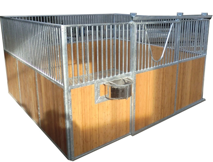 Security Fence and Stable of Hlt