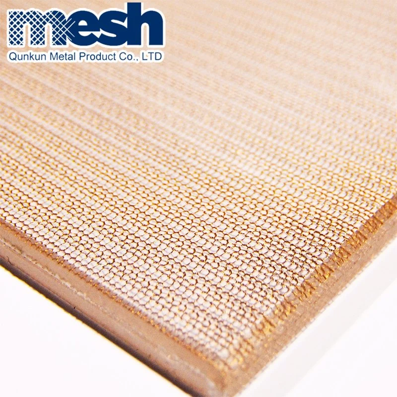 Laminated Glass Metal Mesh Door