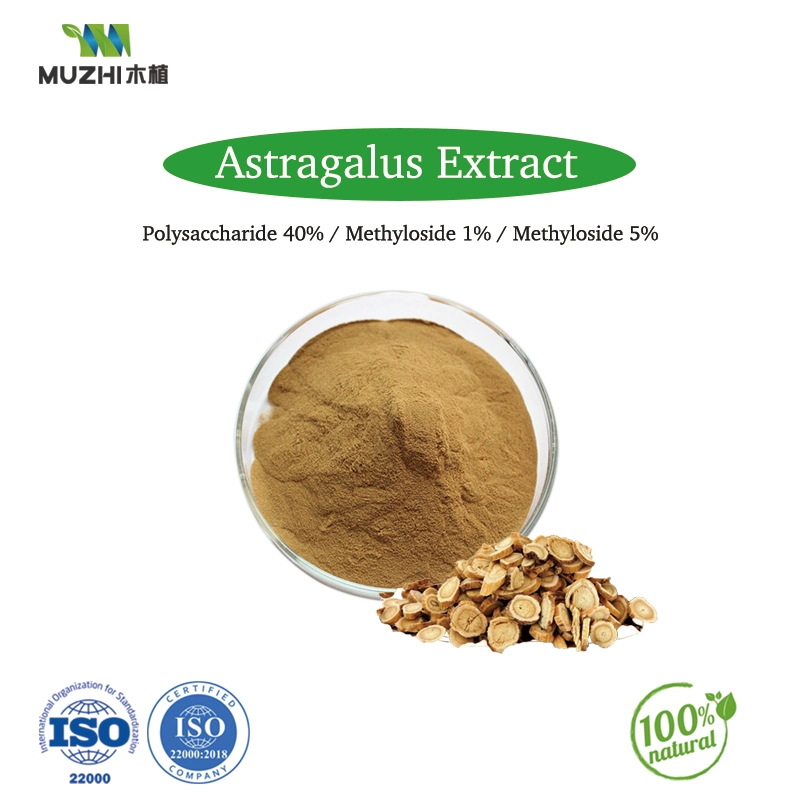 Astragalus Methyloside Extrait Extrait de fines herbes de 1 %