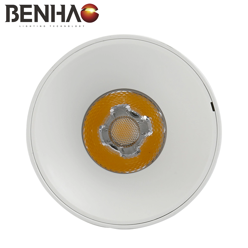 preço de fábrica OEM ODM/LED moderna Luminária interior baixar as luzes de tecto