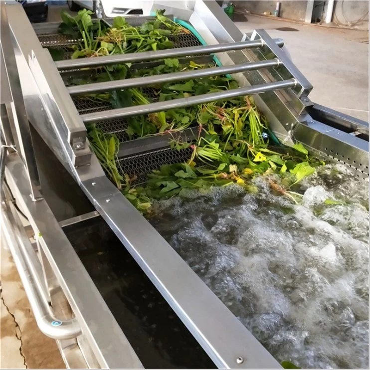 Factory Stainless Steel Vegetables, Fruits and Seafood Plastic Basket Washing Machine Egg Tray Washer