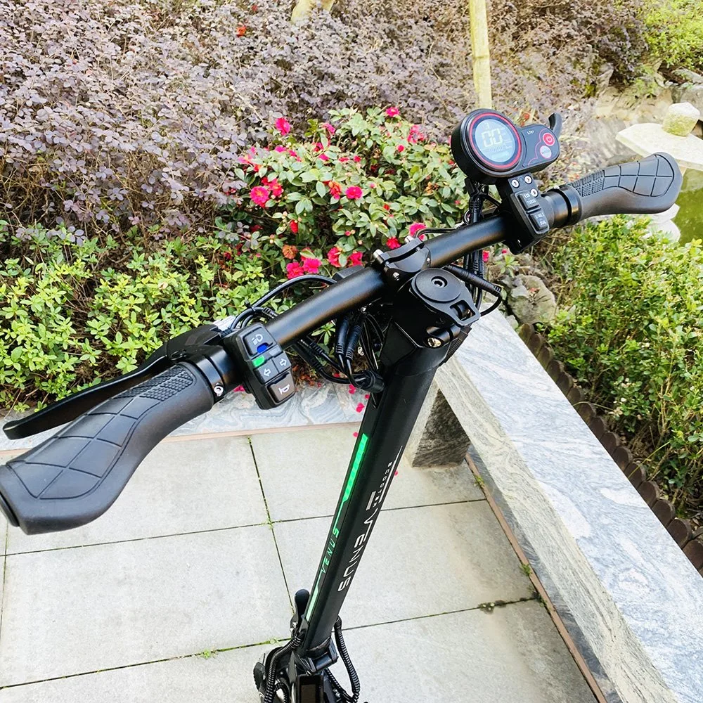 Fast Dual Motor Electric Scooters